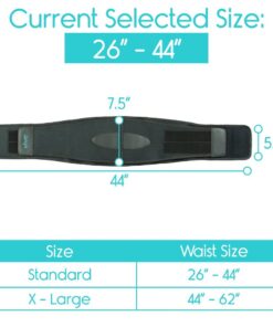 Alternative view of Back Brace